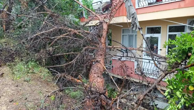 Gökyüzü Değişti, Bina Aniden Yıkıldı: Yağmurun Gücü