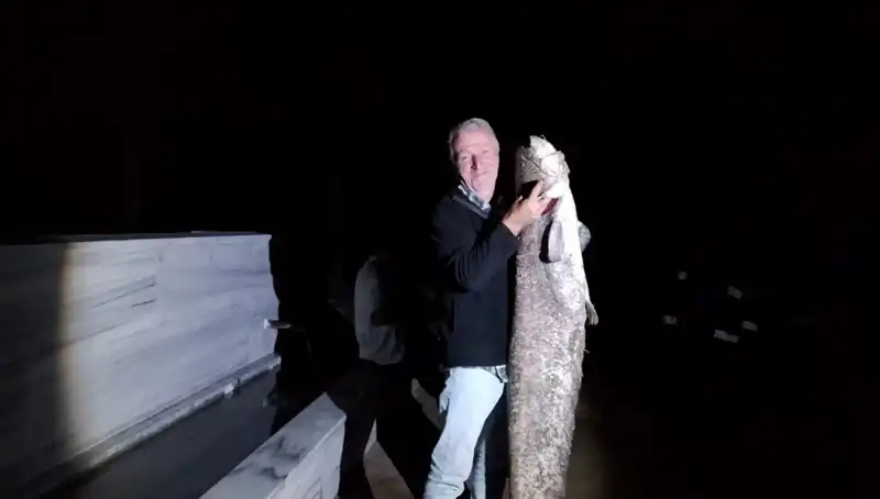 40 Kilo Ağırlığında Oltaya Takılan Balık Görenleri Şaşırttı