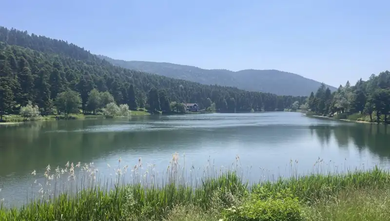 Bolu'nun Milli Parkları Yaz Aylarında Ziyaretçi Rekoru Kırdı