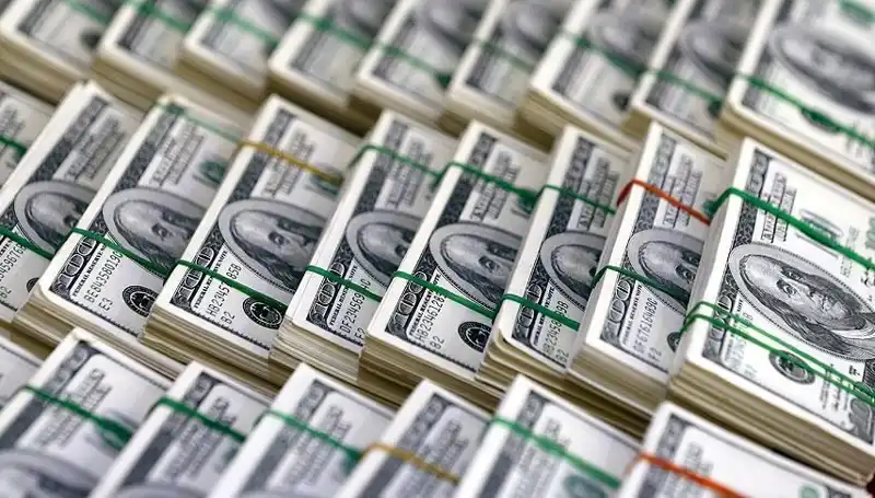 Doların Hızla Yükselişi: Ekonomistler Neler Söylüyor?