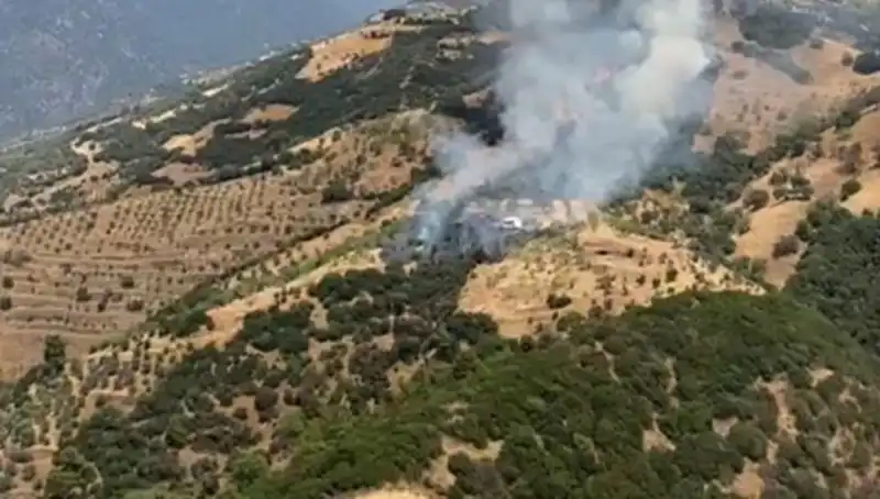 Aydın'da Zeytinlikler Alev Alev! Yangının Sebebi Ne?