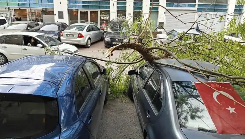 Kayseri’de Fırtına: Dalları Kıran Doğa Olayının Etkileri