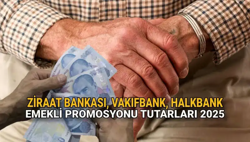 2025'te Kamuda Emeklilere Promosyon Fırtınası: Hangi Banka Ne Sunuyor?
