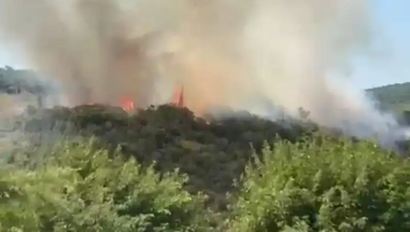 İstanbul’da Orman Yangını: Acil Tahliye ve Müdahale Süreci Devam Ediyor