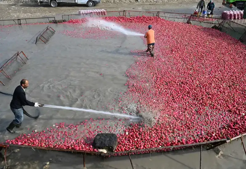 Doğanın Şifa Kaynağı: Çamurlarını Temizlemek İçin Saatlerce Uğraşanlar