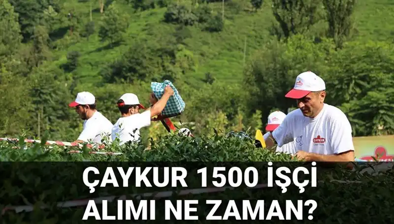 ÇAYKUR İşçi Alımı Kura Çekimi: Tarih ve Detaylar Neler?