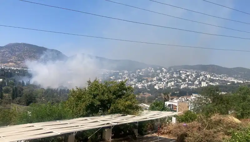 Muğla'daki Dev Orman Yangınları Kontrol Altına Alındı: Detaylar Neler?