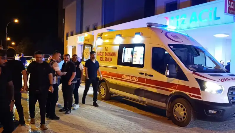 Kardeşini Koruma İçin Müdahale Eden Genç, Hayatını Kaybetti
