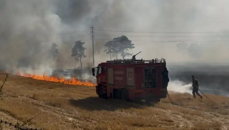 Kırklareli'nde Anız Yangını Panik Yaratırken, Çiftçilere Zarar Verdi