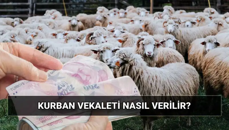 Diyanet'ten Vekaletle Kurban Kesim Rehberi: 2025 Bedelleri ve Şartları