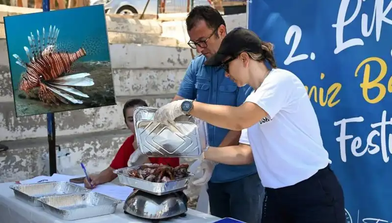 Antalya'da Heyecan Dolu İstilacı Aslan Balığı Avlama Yarışması Gerçekleşiyor