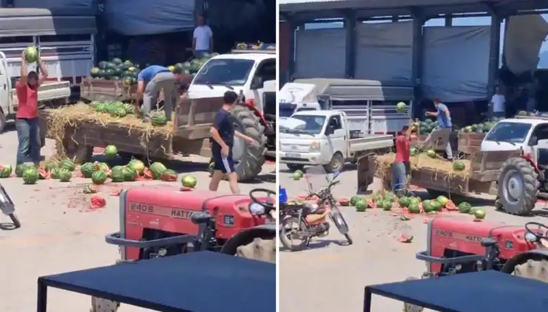 Karpuz Atarak Eğlenen Çiftçilere Ceza Geldi: İşte Detaylar!