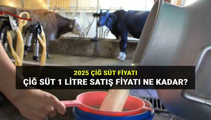 2025'te Çiğ Süt Fiyatı: Ulusal Süt Konseyi Açıklıyor!