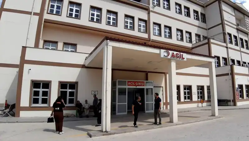 Bolu'da Ayı Avı Kararı: Hayvanseverlerden Tepkiler Yağdı
