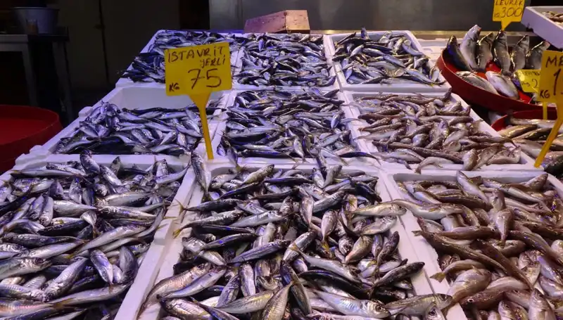 Balık Sezonu Sona Eriyor: Balıkçılar ve Tutkunları Ne Yapacak?